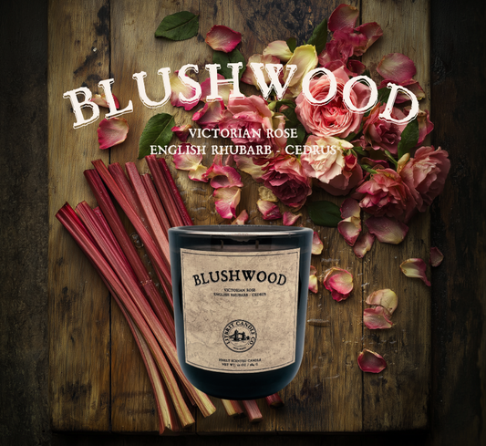 Blushwood Candle